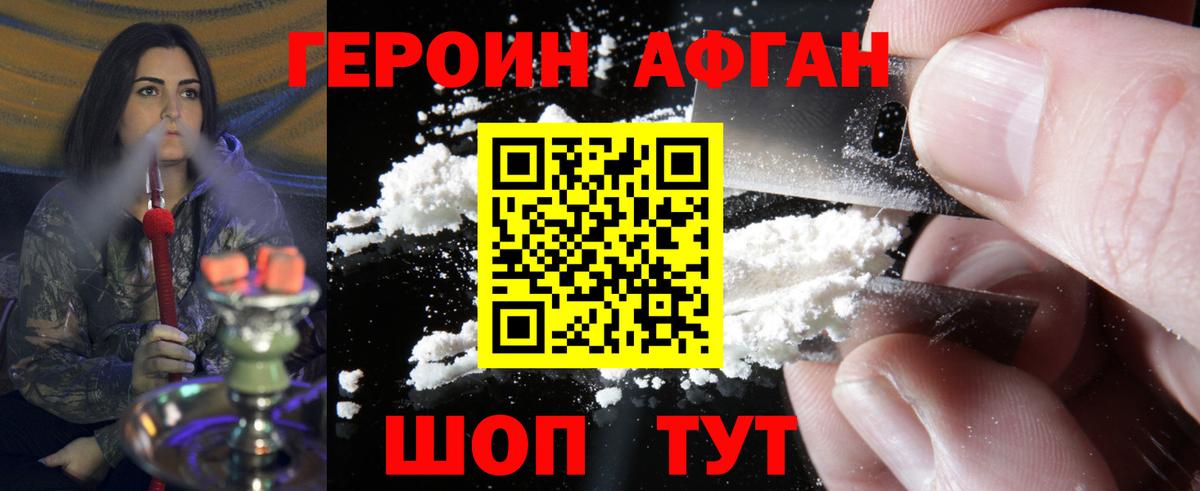 ГЕРОИН хмурый Горно-Алтайск
